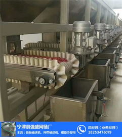 裙邊皮帶輸送機 強盛網鏈用品質說話 裙邊皮帶輸送機規格